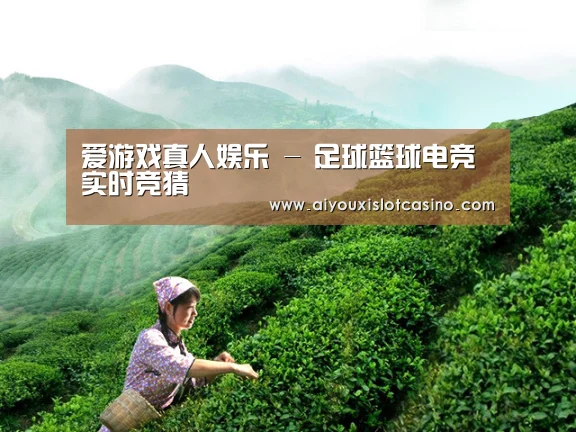 爱游戏真人娱乐 - 足球篮球电竞实时竞猜