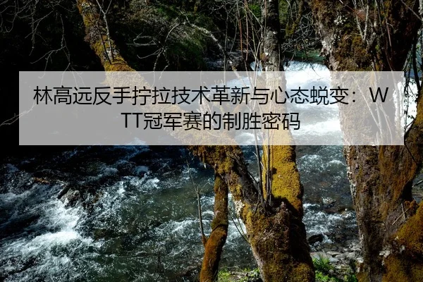 林高远反手拧拉技术革新与心态蜕变：WTT冠军赛的制胜密码