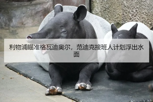 利物浦瞄准格瓦迪奥尔，范迪克接班人计划浮出水面