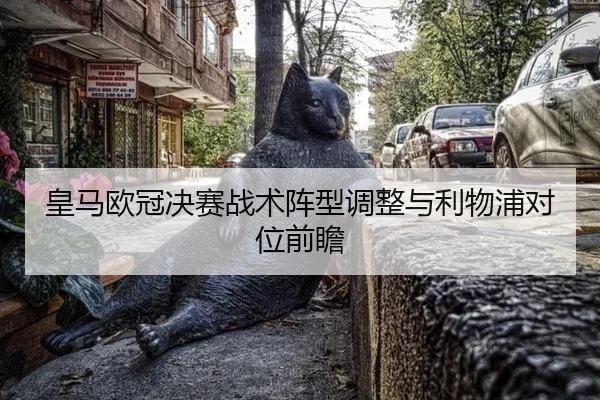 皇马欧冠决赛战术阵型调整与利物浦对位前瞻