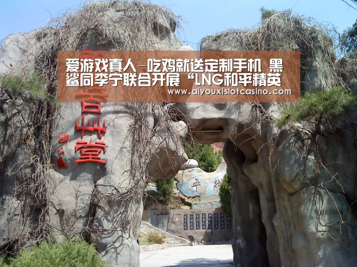 爱游戏真人-吃鸡就送定制手机 黑鲨同李宁联合开展“LNG和平精英吃鸡大战”(图1) 爱游戏下载